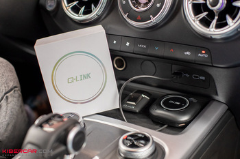 Tank 300: подключение Q-LINK