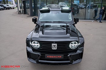 Tank 300: обвес Mars City