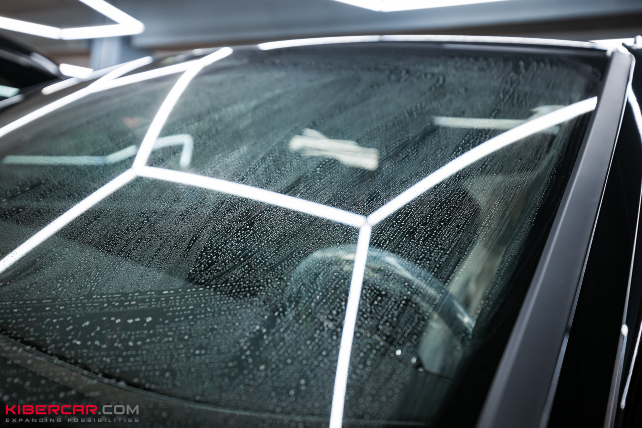 Антидождь на Voyah Free (5).jpg