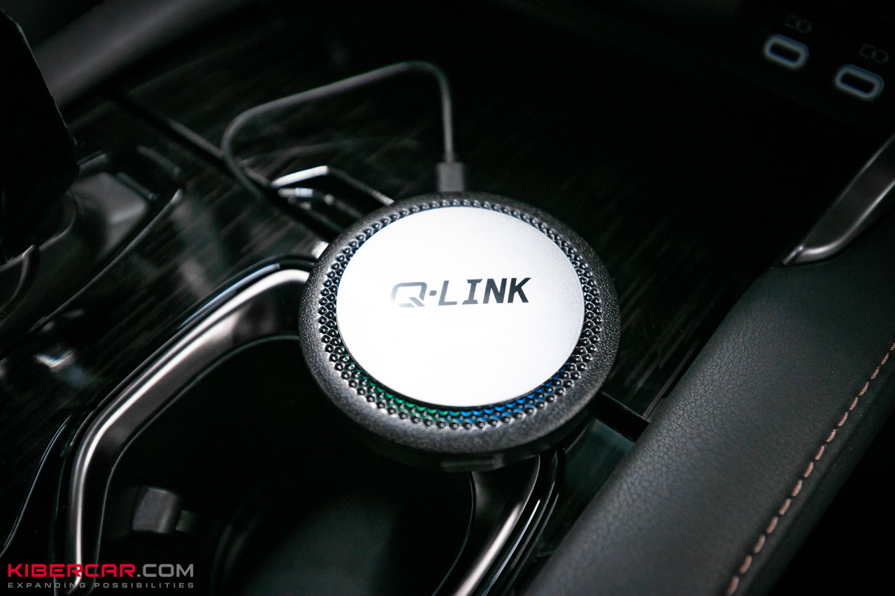 Q-Link