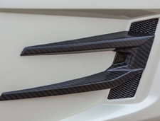 rear-carbon-insertsglswhite-700x467s.jpg