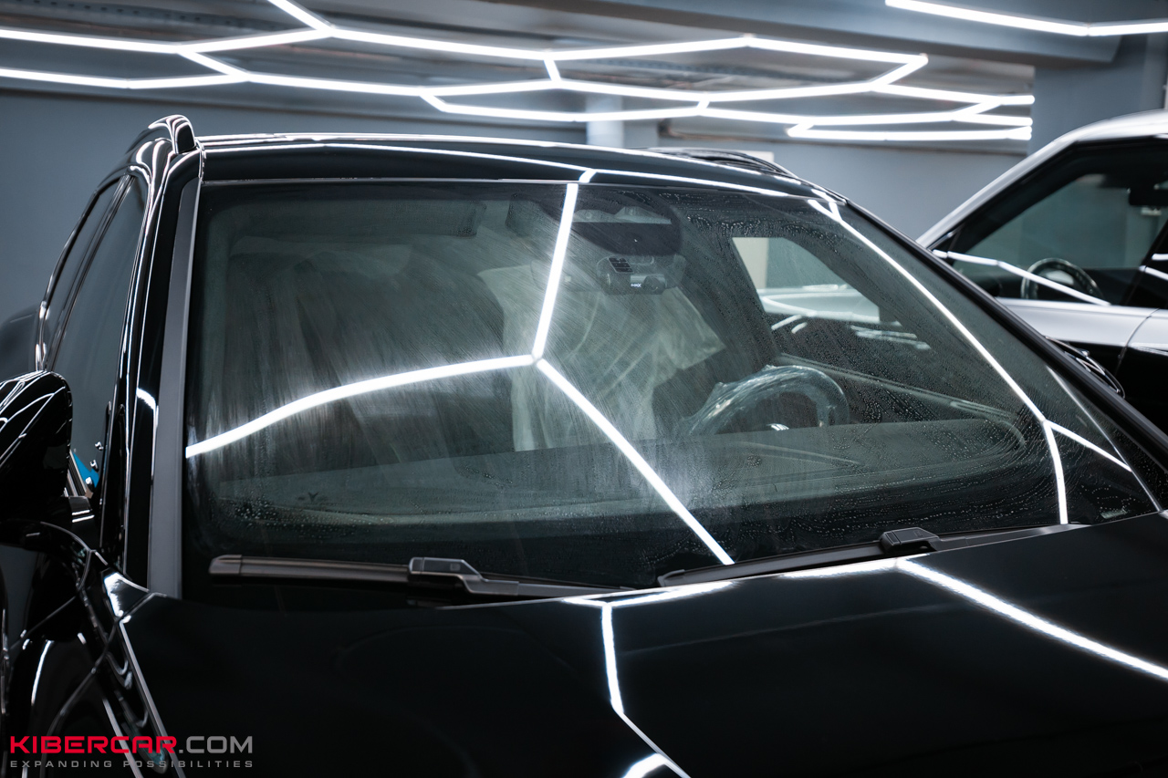 Антидождь на Voyah Free (6).jpg