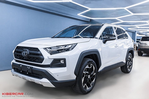 10 дней из Киргизии — и ваш новый RAV4 в Москве