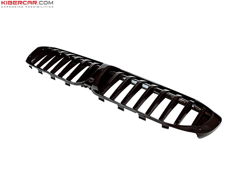 Решетка радиатора BMW G20 3-серия 2018+ Shadowline (вар2)