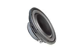 Сабвуфер автомобильный Magner 10" 300 Вт 2+2 Ом